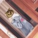 郦韦&阿颖不说话