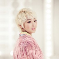 살찐 고양이