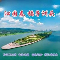 陈昕