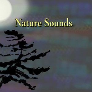 Organic Nature Sounds资料,Organic Nature Sounds最新歌曲,Organic Nature SoundsMV视频,Organic Nature Sounds音乐专辑,Organic Nature Sounds好听的歌