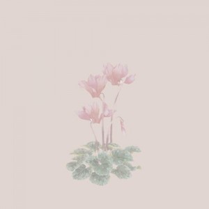 兮雨竹资料,兮雨竹最新歌曲,兮雨竹MV视频,兮雨竹音乐专辑,兮雨竹好听的歌