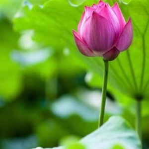 isabella资料,isabella最新歌曲,isabellaMV视频,isabella音乐专辑,isabella好听的歌