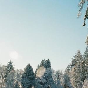 Drexler资料,Drexler最新歌曲,DrexlerMV视频,Drexler音乐专辑,Drexler好听的歌