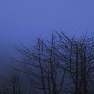 队长AIa资料,队长AIa最新歌曲,队长AIaMV视频,队长AIa音乐专辑,队长AIa好听的歌