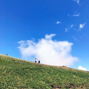 东方仙阁资料,东方仙阁最新歌曲,东方仙阁MV视频,东方仙阁音乐专辑,东方仙阁好听的歌