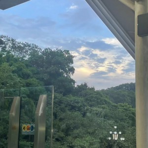 巴太资料,巴太最新歌曲,巴太MV视频,巴太音乐专辑,巴太好听的歌