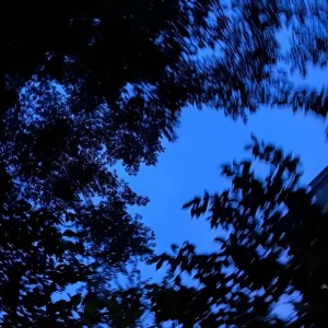 心草资料,心草最新歌曲,心草MV视频,心草音乐专辑,心草好听的歌