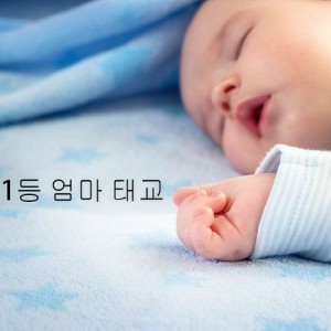 1등 엄마 태교资料,1등 엄마 태교最新歌曲,1등 엄마 태교MV视频,1등 엄마 태교音乐专辑,1등 엄마 태교好听的歌