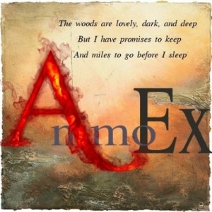 AnimoEx资料,AnimoEx最新歌曲,AnimoExMV视频,AnimoEx音乐专辑,AnimoEx好听的歌