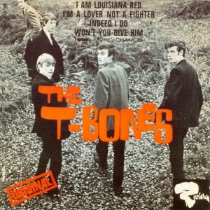 The T-Bones资料,The T-Bones最新歌曲,The T-BonesMV视频,The T-Bones音乐专辑,The T-Bones好听的歌