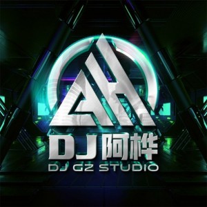 DJ阿桦资料,DJ阿桦最新歌曲,DJ阿桦MV视频,DJ阿桦音乐专辑,DJ阿桦好听的歌