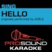 ProSound Karaoke Band